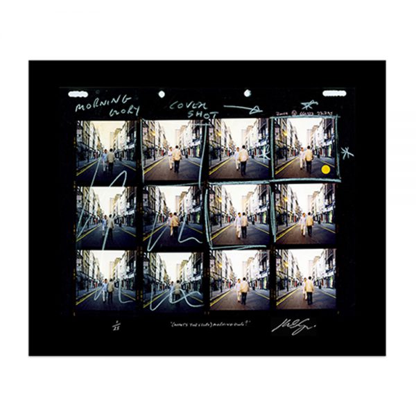 Morning Glory Contact Sheet